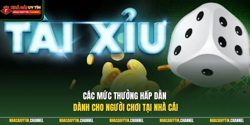 Các mức thưởng hấp dẫn dành cho người chơi tại nhà cái